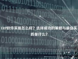 ERP软件实施怎么样？选择成功的策略与最佳实践是什么？