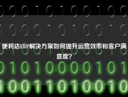 便利店ERP解决方案如何提升运营效率和客户满意度？