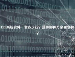 ERP系统软件一套多少钱？选择哪种方案更划算？