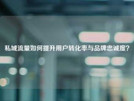 私域流量如何提升用户转化率与品牌忠诚度？