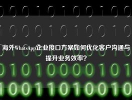 海外WhatsApp企业接口方案如何优化客户沟通与提升业务效率？