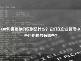 ERP和进销存的区别是什么？它们在企业管理中各自的优势有哪些？