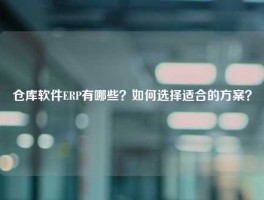 仓库软件ERP有哪些？如何选择适合的方案？