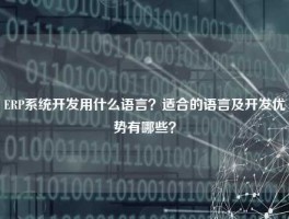 ERP系统开发用什么语言？适合的语言及开发优势有哪些？