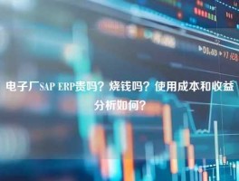 电子厂SAP ERP贵吗？烧钱吗？使用成本和收益分析如何？