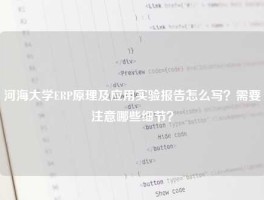 河海大学ERP原理及应用实验报告怎么写？需要注意哪些细节？