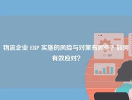 物流企业 ERP 实施的风险与对策有哪些？如何有效应对？