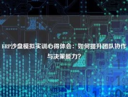 ERP沙盘模拟实训心得体会：如何提升团队协作与决策能力？