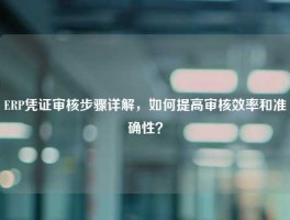 ERP凭证审核步骤详解，如何提高审核效率和准确性？