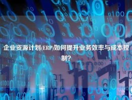 企业资源计划(ERP)如何提升业务效率与成本控制？
