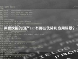深受欢迎的国产ERP有哪些优势和应用场景？