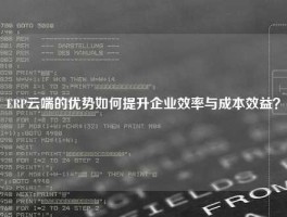 ERP云端的优势如何提升企业效率与成本效益？