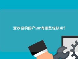 受欢迎的国产ERP有哪些优缺点？
