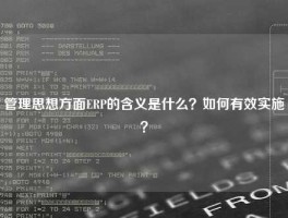 管理思想方面ERP的含义是什么？如何有效实施？