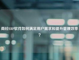 商砼ERP软件如何满足用户需求和提升管理效率？