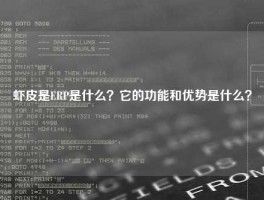 虾皮是ERP是什么？它的功能和优势是什么？