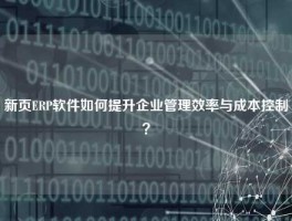 新页ERP软件如何提升企业管理效率与成本控制？