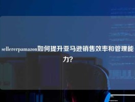 sellererpamazon如何提升亚马逊销售效率和管理能力？