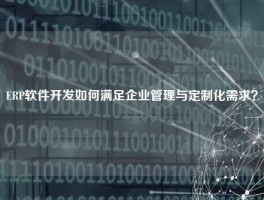 ERP软件开发如何满足企业管理与定制化需求？