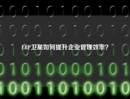 ERP卫星如何提升企业管理效率？