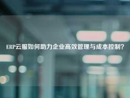 ERP云服如何助力企业高效管理与成本控制？