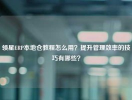 领星ERP本地仓教程怎么用？提升管理效率的技巧有哪些？