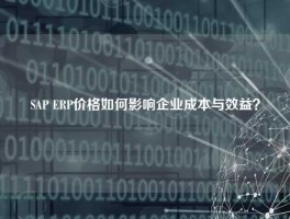 SAP ERP价格如何影响企业成本与效益？