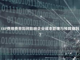 ERP费用费率如何影响企业成本管理与预算规划？