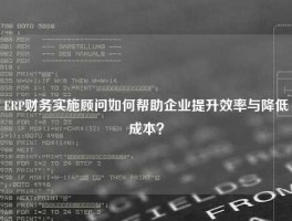 ERP财务实施顾问如何帮助企业提升效率与降低成本？