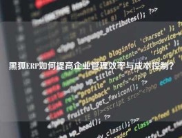 黑狐ERP如何提高企业管理效率与成本控制？