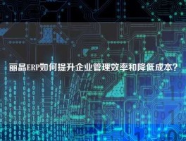 丽晶ERP如何提升企业管理效率和降低成本？