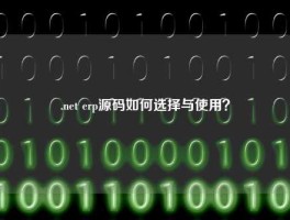 .net erp源码如何选择与使用？
