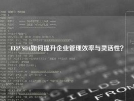 ERP SOA如何提升企业管理效率与灵活性？