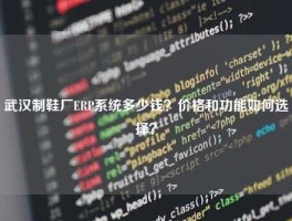 武汉制鞋厂ERP系统多少钱？价格和功能如何选择？