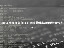 ERP项目经理如何提升团队协作与项目管理效率？