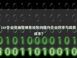 ERP企业资源管理系统如何提升企业效率与降低成本？