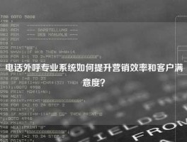 电话外呼专业系统如何提升营销效率和客户满意度？