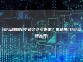 ERP品牌哪家更适合企业需求？揭秘热门ERP品牌推荐！