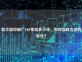哈尔滨印刷厂ERP系统多少钱，如何选择合适的软件？