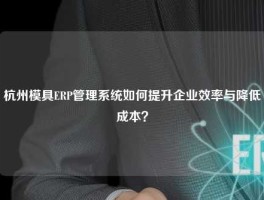 杭州模具ERP管理系统如何提升企业效率与降低成本？