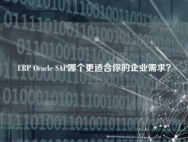 ERP Oracle SAP哪个更适合你的企业需求？