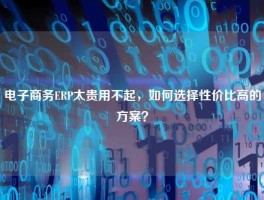 电子商务ERP太贵用不起，如何选择性价比高的方案？
