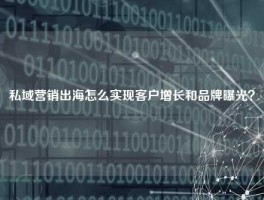 私域营销出海怎么实现客户增长和品牌曝光？