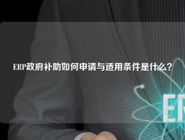 ERP政府补助如何申请与适用条件是什么？