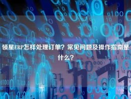 领星ERP怎样处理订单？常见问题及操作指南是什么？