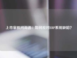 上市审核问询函：如何应对ERP系统缺陷？