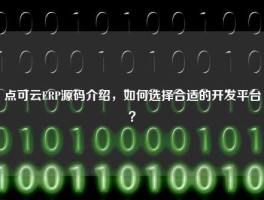 点可云ERP源码介绍，如何选择合适的开发平台？