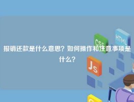 报销还款是什么意思？如何操作和注意事项是什么？