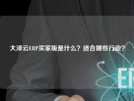 大泽云ERP买家版是什么？适合哪些行业？
