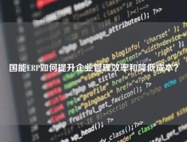 国能ERP如何提升企业管理效率和降低成本？